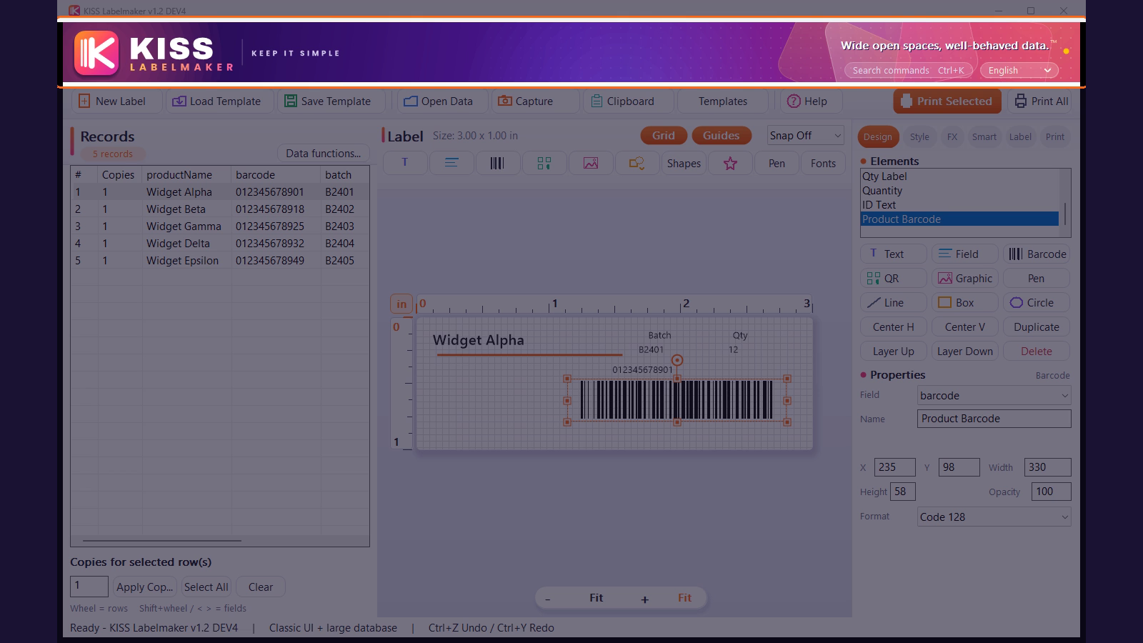 KISS application walkthrough showing the records table, label canvas and inspector